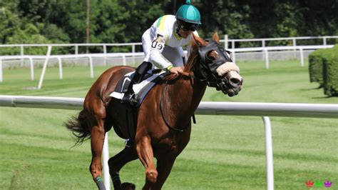 portman park tips|Portman Park betting odds .